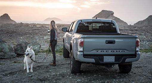 End of Lease Options